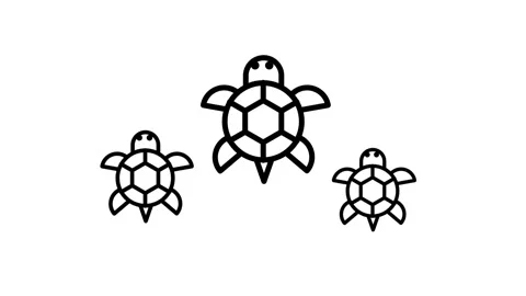 Turtle Trio Swim Stock Footage 335815426