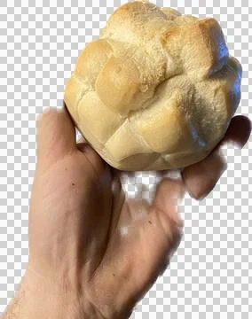 Turtle type Italian white bread. Stock Photos
