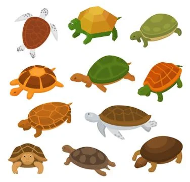 Turtle vector cartoon seaturtle character swimming in sea and tortoise in Stock Illustration