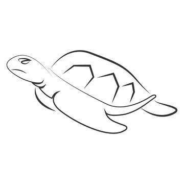 Turtle vector illustration design Stock Illustration