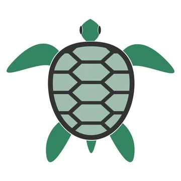 Turtle vector illustration design Stock Illustration