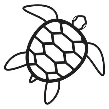 Turtle vector illustration design Stock Illustration