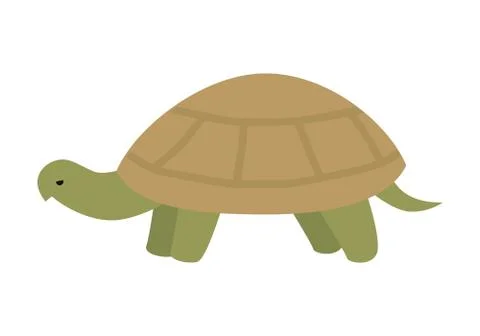 Turtle Vector Illustration in Flat Design Stock Illustration