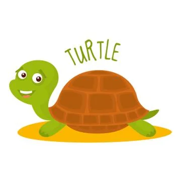 Turtle Vector illustration isolated Stock Illustration