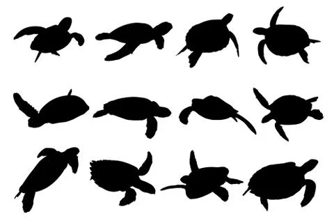 Turtle Vector Silhouettes Illustrazione stock