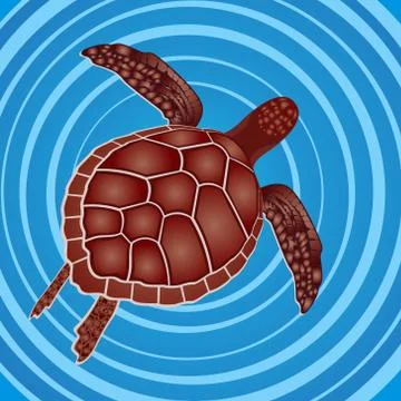 Turtle in the water Stock Illustration