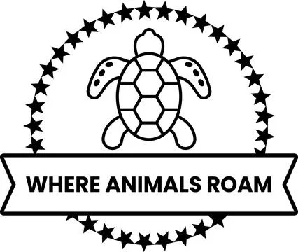 A turtle is on a white background with a black border イラスト素材