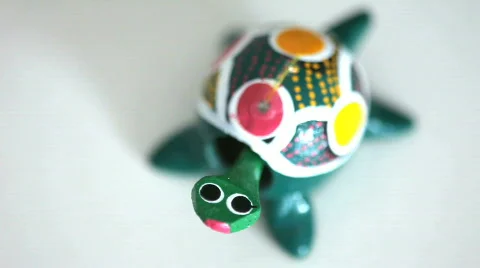 Turtle in a white background Stock Footage 495625