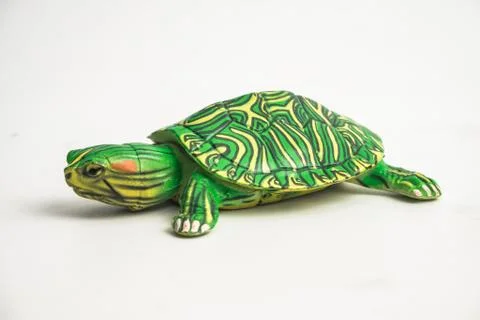 Turtle on white background Foto stock
