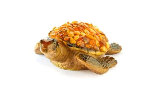 Turtle on a white background Stock Photos