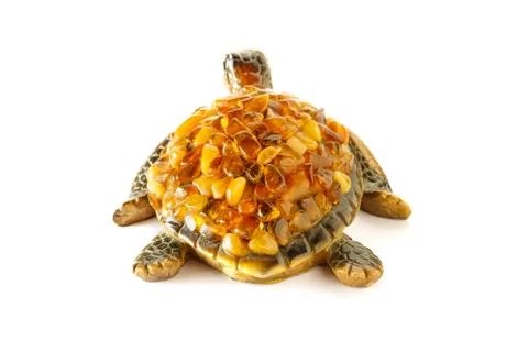 Turtle on a white background Stock Photos