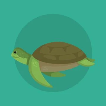 Turtle wild sea animal with shell 스톡 일러스트