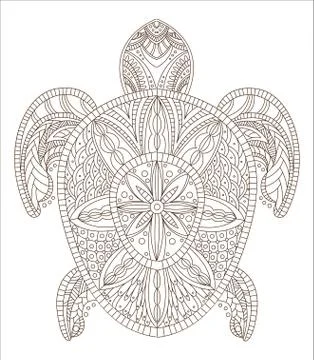 Turtle Zentangle Style Stock Illustration