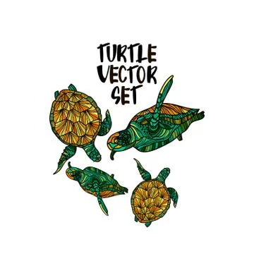 Turtle9 Stock Illustration