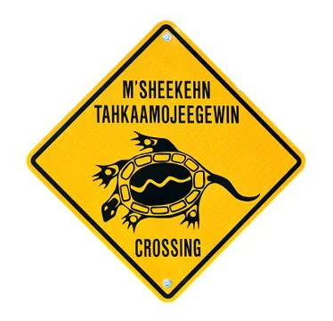 Turtlecrossing Stock Photos