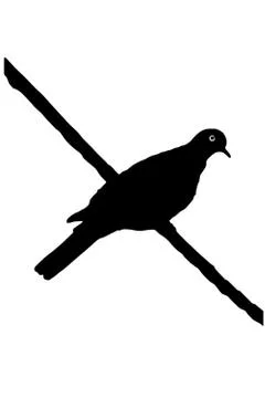 Turtledove bird Stock Illustration
