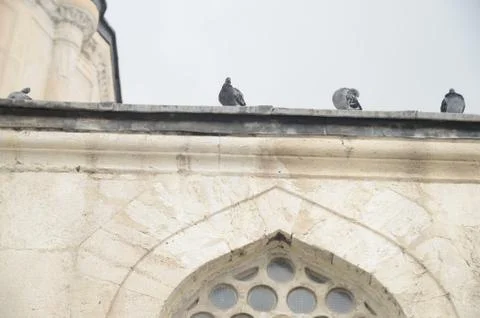Turtledoves at Mosque Stock Photos