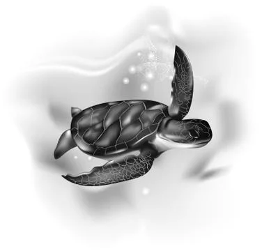 Turtles black white Stock Illustration