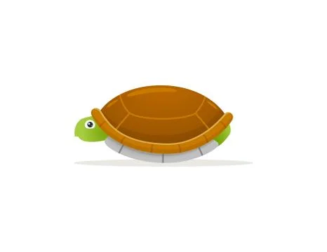 Turtles hide in the shell Stock Illustration