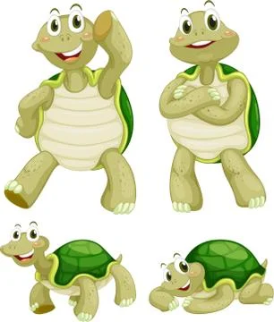 Turtles Illustrazione stock