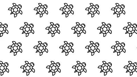 Turtles Pattern Design 库存影片 335815433