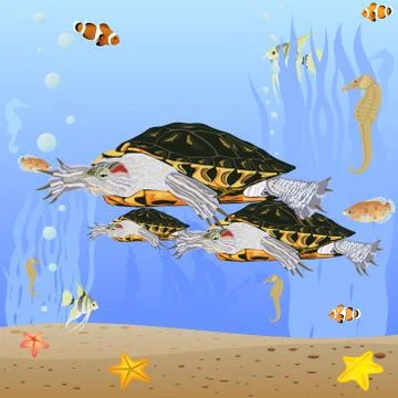 Turtles in the sea Stock Illustration