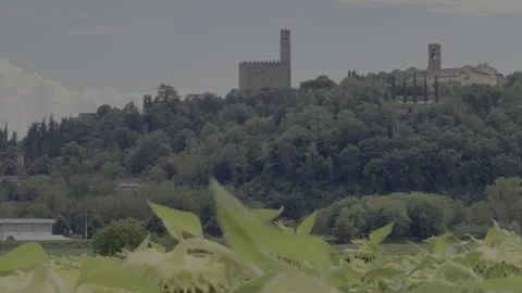 Tuscan castle on a hill with sunflower fields in the foreground Stock Footage 327134950