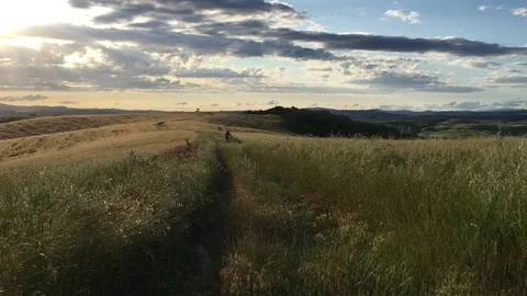 Tuscan countryside in summer Stock Footage 77185739