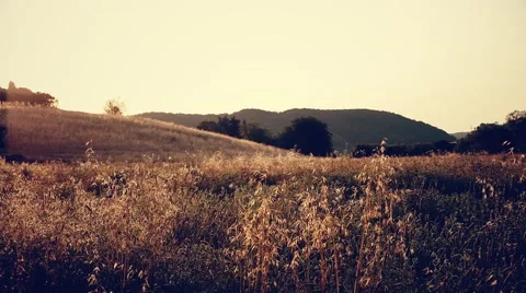Tuscan countryside in summer at sunrise Stock Footage 59643595