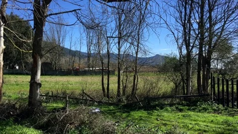 Tuscan coutryside with wooden fence Stock Footage