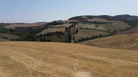Tuscan hill side - trees Stock Footage 290238246