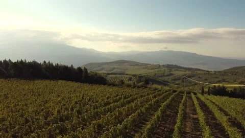 Tuscan hills Stock Footage 162760980