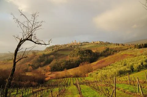 Tuscan Hills Foto stock