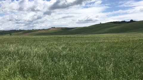 Tuscan landscape Stock Footage 77185302