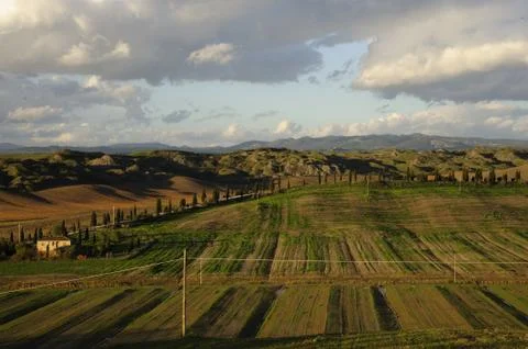 Tuscan landscape Stock Photos