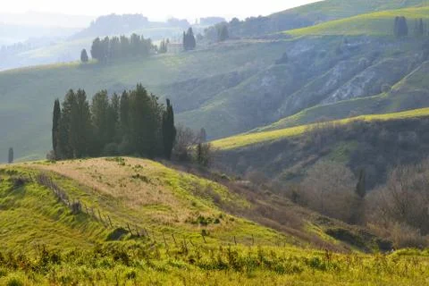 Tuscan landscape Foto stock