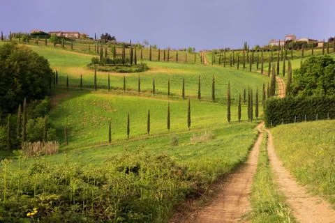 Tuscan landscape Foto stock