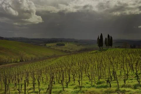 Tuscan landscape 스톡 사진