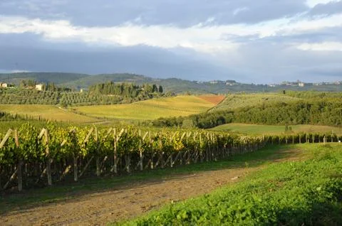 Tuscan landscape Stock Photos