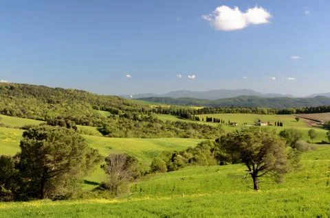 Tuscan Landscape Foto stock