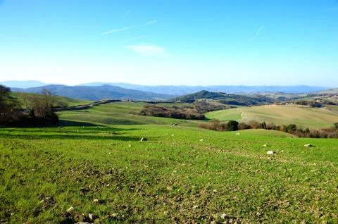 Tuscan landscape Foto stock