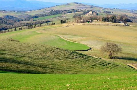 Tuscan landscape Stock Photos