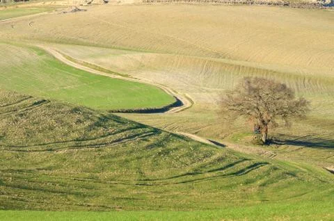 Tuscan Landscape Stock Photos