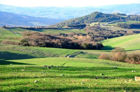 Tuscan Landscape Stock Photos