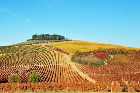 Tuscan landscape Stock Photos