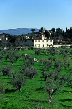 Tuscan landscape Stock Photos