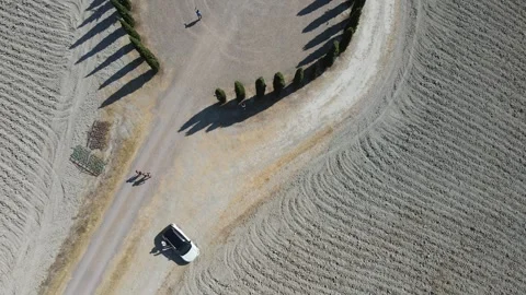 Tuscan pine circle summer Stock Footage 290239002