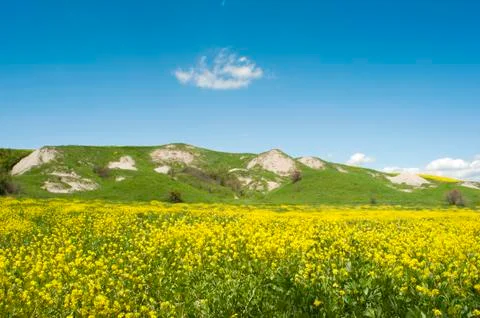 Tuscan spring Stock Photos