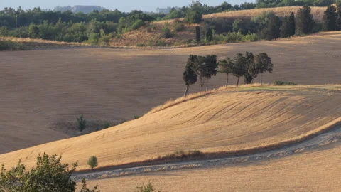 Tuscan summer landscape Stock Footage 160276459