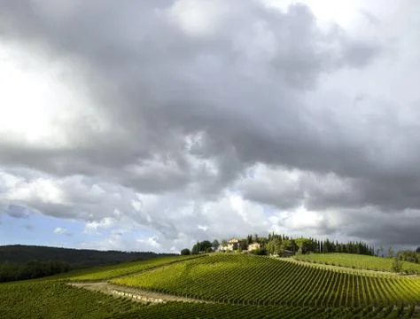 Tuscan vineyard with dramatic clouds Stock Photos